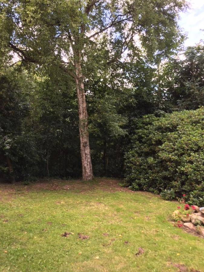 Muehlenweg- Tante Lise Apartment Süderlügum Екстериор снимка