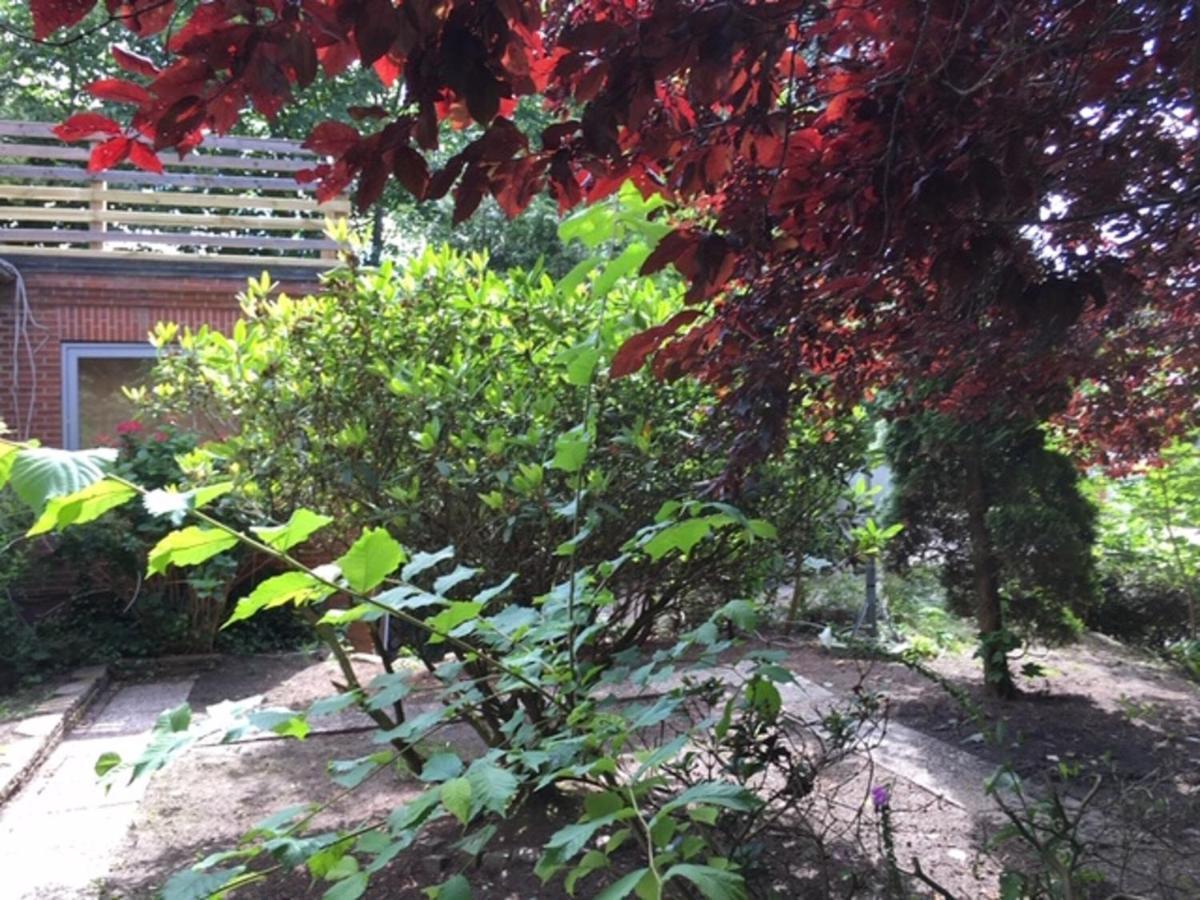 Muehlenweg- Tante Lise Apartment Süderlügum Екстериор снимка