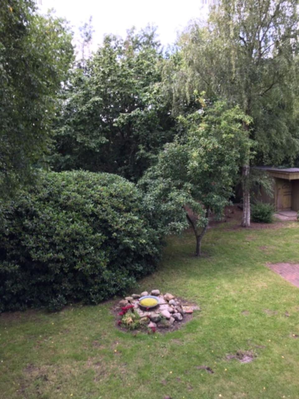 Muehlenweg- Tante Lise Apartment Süderlügum Екстериор снимка